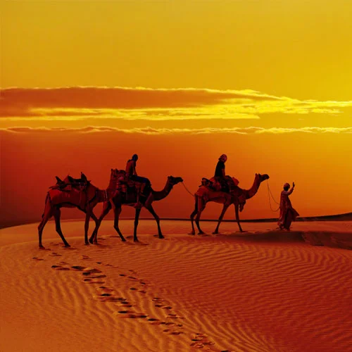 Rajasthan Tours And Taxi